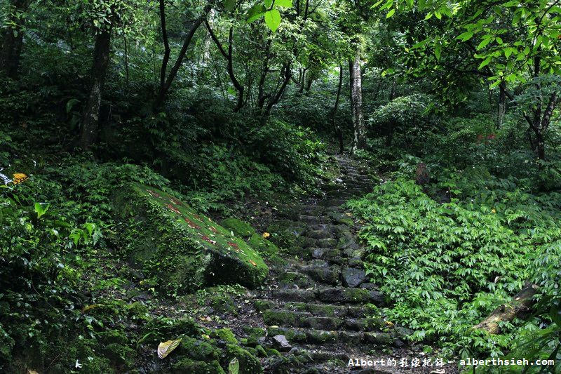 大艽芎古道．桃園大溪景點（綠意盎然的石階古道） @愛伯特