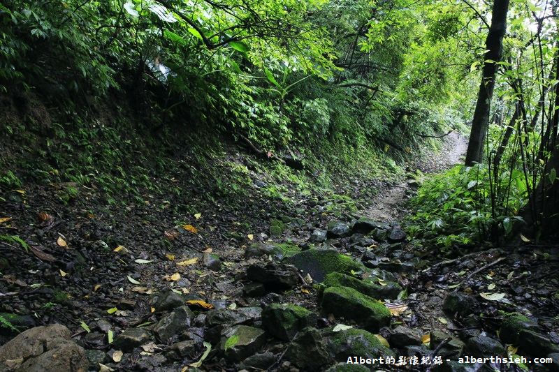 大艽芎古道．桃園大溪景點（綠意盎然的石階古道） @愛伯特