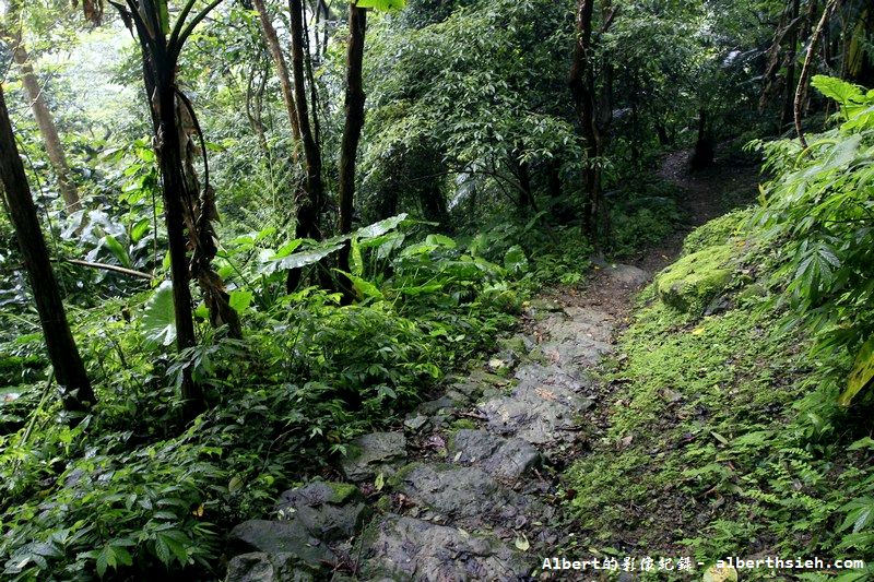 大艽芎古道．桃園大溪景點（綠意盎然的石階古道） @愛伯特