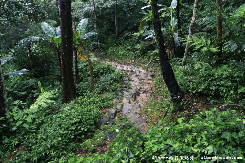 大艽芎古道．桃園大溪景點（綠意盎然的石階古道） @愛伯特