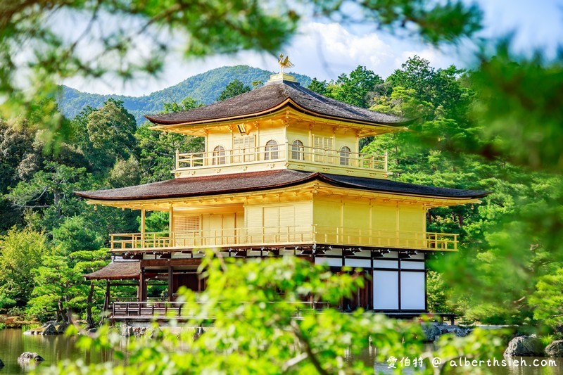 金閣寺．京都必訪景點（金碧輝煌的舍利殿搭配倒影超美/交通方式/票價） @愛伯特