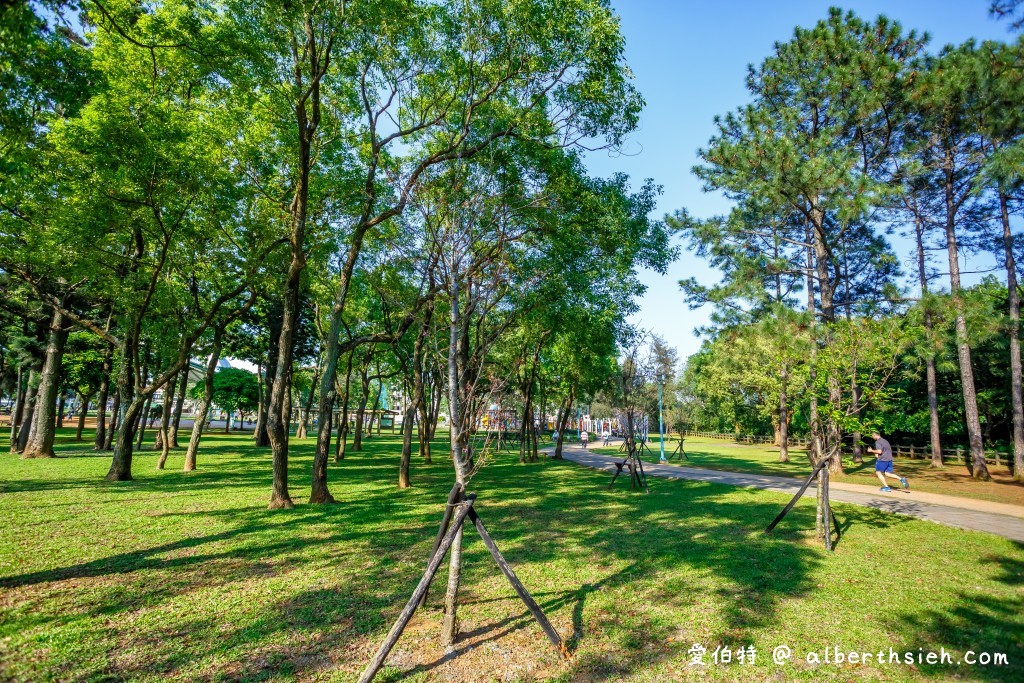 桃園中壢景點．龍岡森林公園（兒童遊樂區、大草原、樹木、乾淨的空氣，適合全家出遊的好去處） @愛伯特