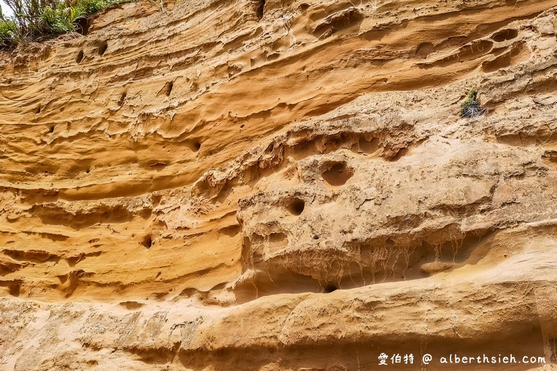 林口大峽谷/水牛坑．新北林口景點（美麗錯誤形成的台版美國大峽谷） @愛伯特