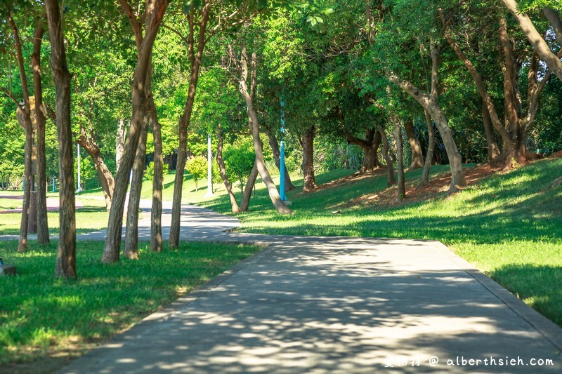 龍岡萬坪公園．中壢親子景點（擁有超大草坪/兒童戲水瀑布/籃球場/自行車專用道/樹蔭林立） @愛伯特