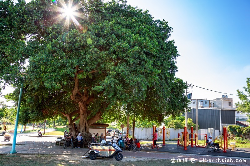 龍岡萬坪公園．中壢親子景點（擁有超大草坪/兒童戲水瀑布/籃球場/自行車專用道/樹蔭林立） @愛伯特