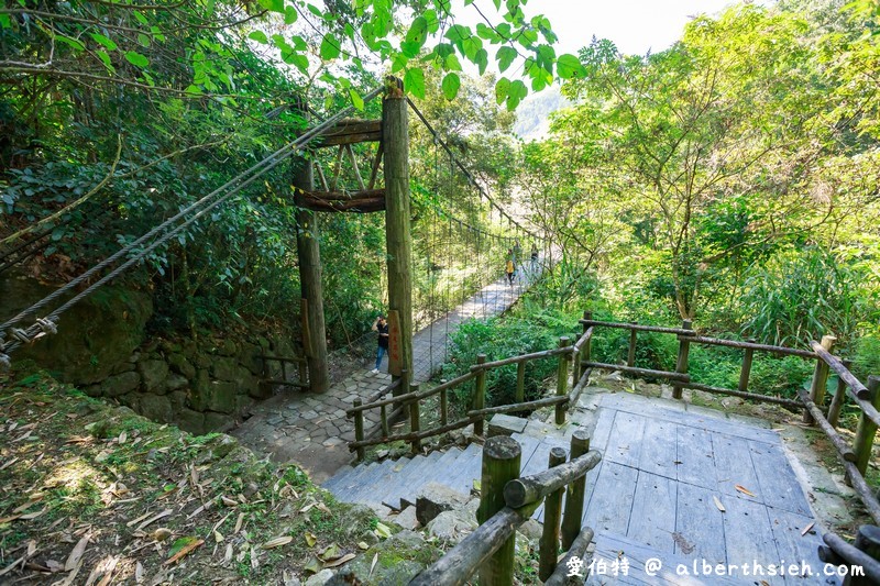 迷糊步道&#038;樂米吊橋．嘉義阿里山景點（竹林美景平緩好走好拍的親子步道） @愛伯特