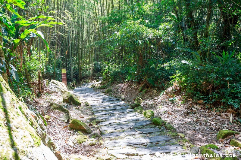 迷糊步道&#038;樂米吊橋．嘉義阿里山景點（竹林美景平緩好走好拍的親子步道） @愛伯特