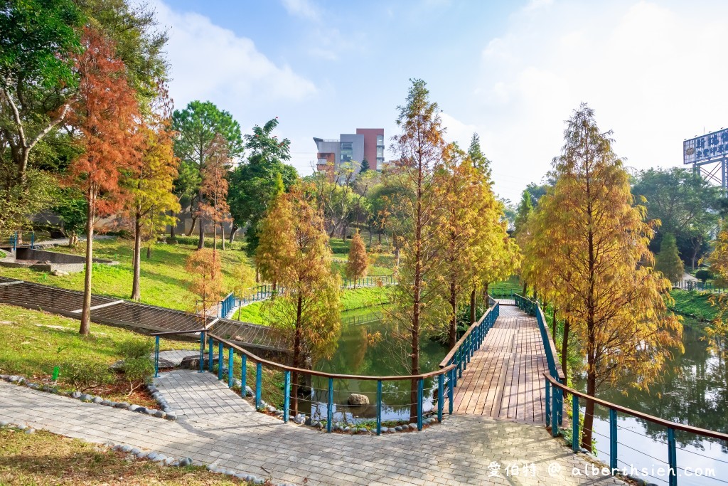 桃園落羽松．龜山長庚護理之家落羽松（長庚養生村，漫步於湖畔落羽松隧道，超美IG必拍打卡！） @愛伯特