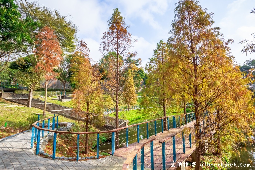 桃園落羽松．龜山長庚護理之家落羽松（長庚養生村，漫步於湖畔落羽松隧道，超美IG必拍打卡！） @愛伯特