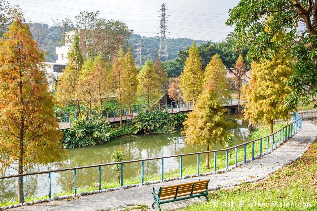 桃園落羽松．龜山長庚護理之家落羽松（長庚養生村，漫步於湖畔落羽松隧道，超美IG必拍打卡！） @愛伯特