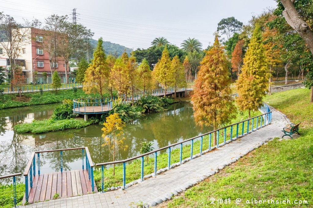 桃園落羽松．龜山長庚護理之家落羽松（長庚養生村，漫步於湖畔落羽松隧道，超美IG必拍打卡！） @愛伯特