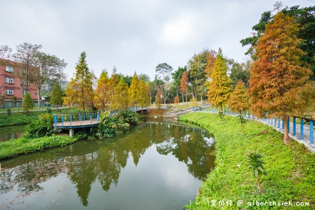 桃園落羽松．龜山長庚護理之家落羽松（長庚養生村，漫步於湖畔落羽松隧道，超美IG必拍打卡！） @愛伯特