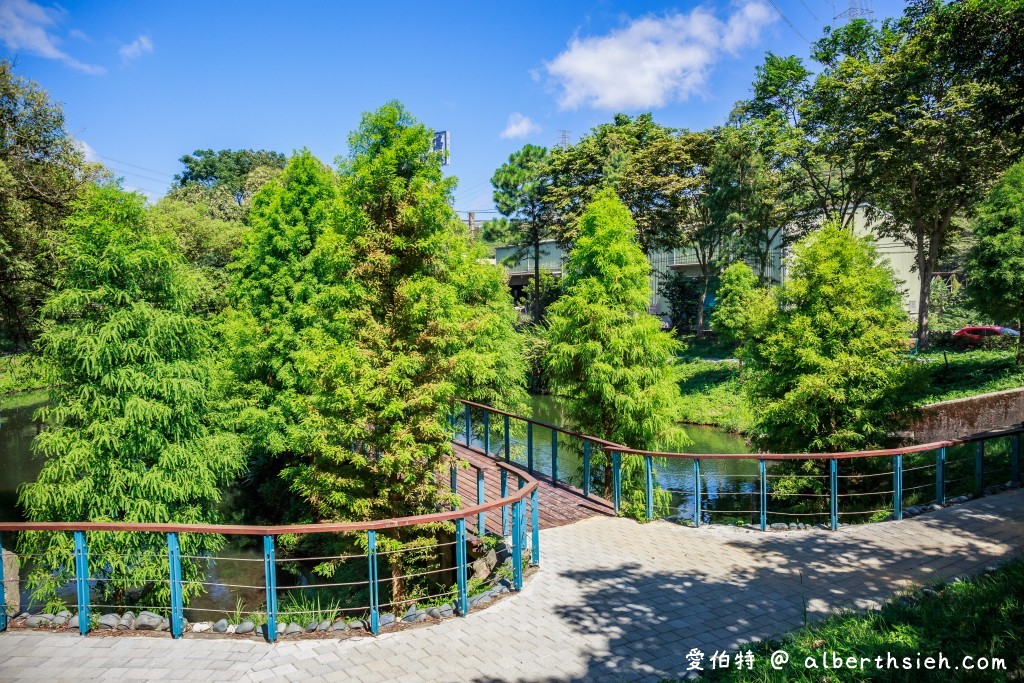 桃園落羽松．龜山長庚護理之家落羽松（長庚養生村，漫步於湖畔落羽松隧道，超美IG必拍打卡！） @愛伯特