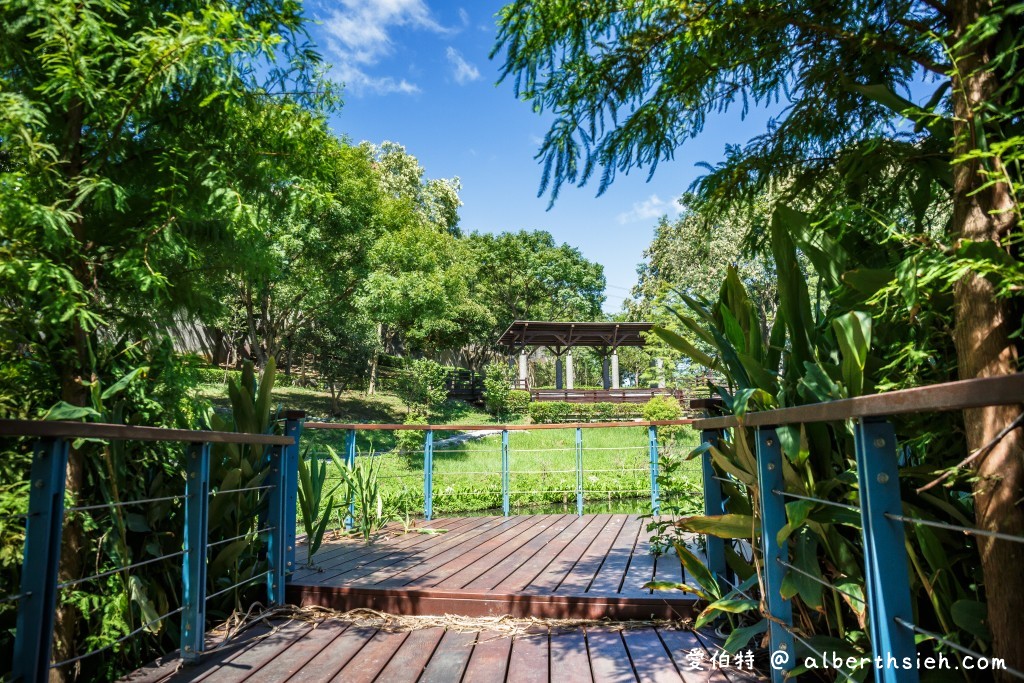 桃園落羽松．龜山長庚護理之家落羽松（長庚養生村，漫步於湖畔落羽松隧道，超美IG必拍打卡！） @愛伯特