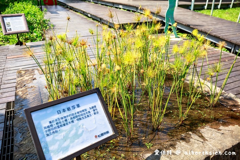 松園別館．花蓮景點（高聳松林包圍的日式軍事建築） @愛伯特