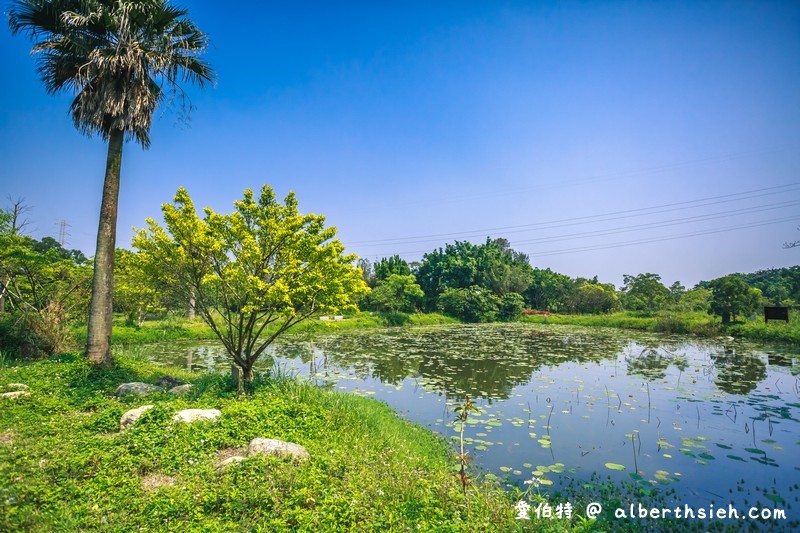 大漢溪山豬湖親水園區（環境清幽的美麗原生態公園，聆聽蟲鳴鳥叫） @愛伯特