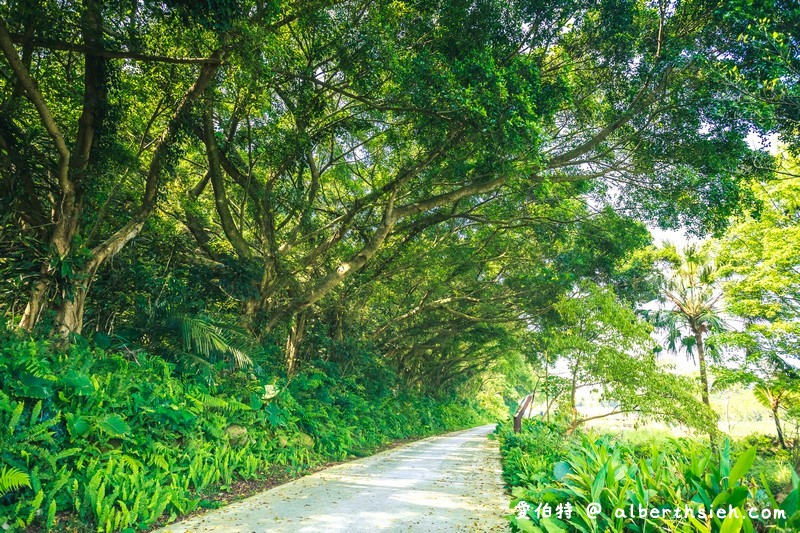 大漢溪山豬湖親水園區（環境清幽的美麗原生態公園，聆聽蟲鳴鳥叫） @愛伯特