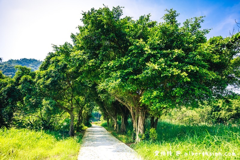 大漢溪山豬湖親水園區（環境清幽的美麗原生態公園，聆聽蟲鳴鳥叫） @愛伯特