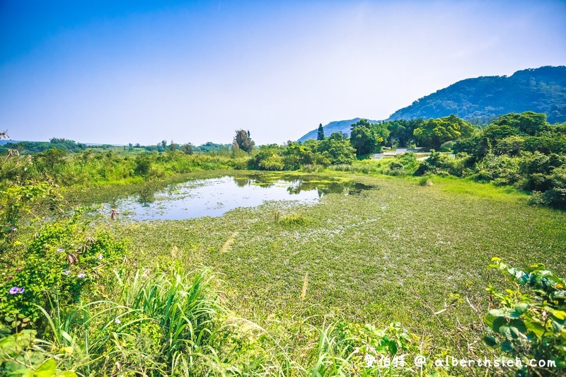 大漢溪山豬湖親水園區（環境清幽的美麗原生態公園，聆聽蟲鳴鳥叫） @愛伯特