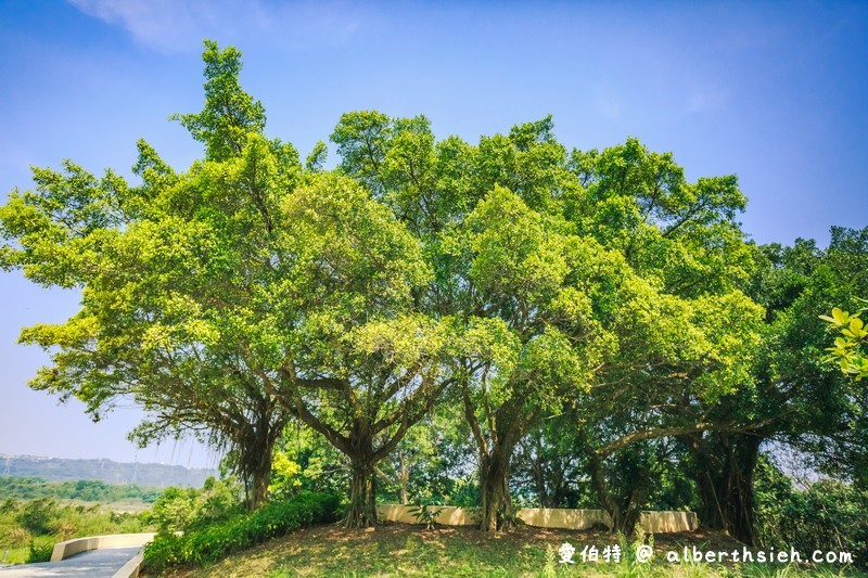 大漢溪山豬湖親水園區（環境清幽的美麗原生態公園，聆聽蟲鳴鳥叫） @愛伯特