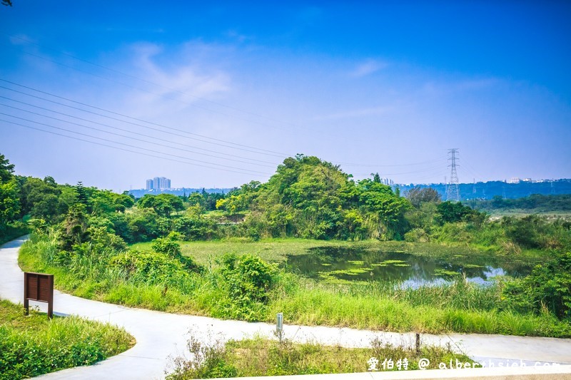 大漢溪山豬湖親水園區（環境清幽的美麗原生態公園，聆聽蟲鳴鳥叫） @愛伯特