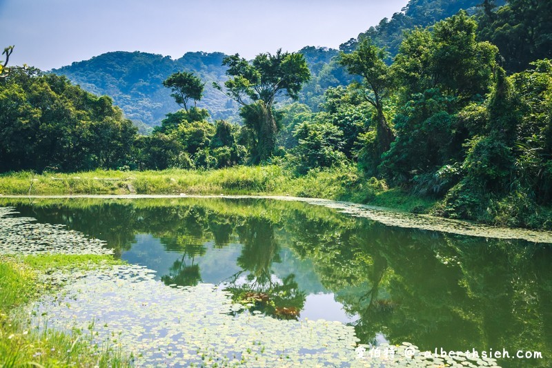 大漢溪山豬湖親水園區（環境清幽的美麗原生態公園，聆聽蟲鳴鳥叫） @愛伯特