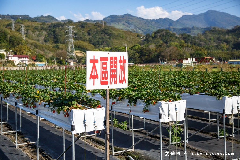 苗栗大湖採草莓．假期觀光草莓園（佔地一甲三地面/高架任你採，還有大型停車場） @愛伯特