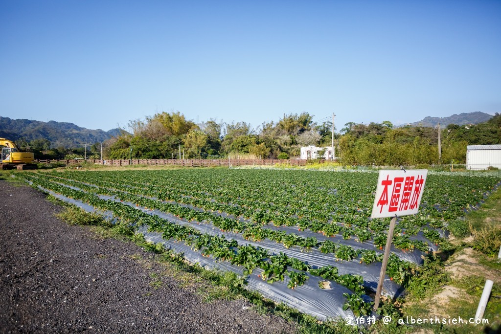 苗栗大湖採草莓．假期觀光草莓園（佔地一甲三地面/高架任你採，還有大型停車場） @愛伯特