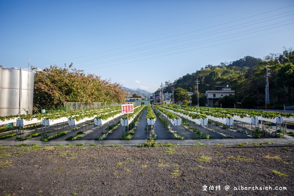 苗栗大湖採草莓．假期觀光草莓園（佔地一甲三地面/高架任你採，還有大型停車場） @愛伯特