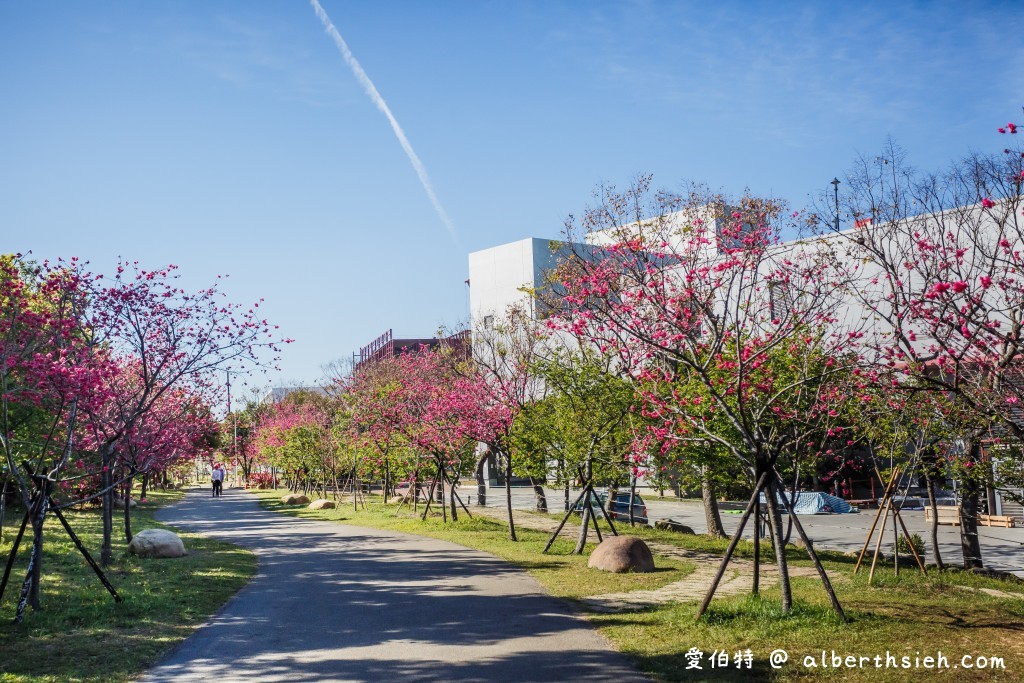 2021中科崴立櫻花公園．台中后里櫻花景點（千坪數百棵櫻花任你拍不用人擠人） @愛伯特