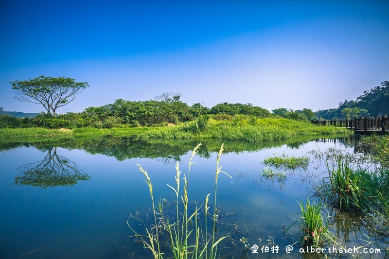 大溪月眉人工濕地生態公園（園區自然生態豐富還可以淨化水質） @愛伯特