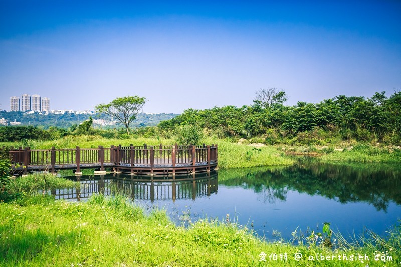 大溪月眉人工濕地生態公園（園區自然生態豐富還可以淨化水質） @愛伯特