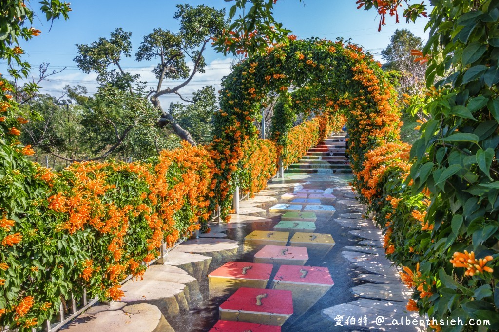 2024苗栗銅鑼炮仗花步道（銅鑼環保公園/櫻花隧道/季節限定雙層炮仗花海瀑布） @愛伯特