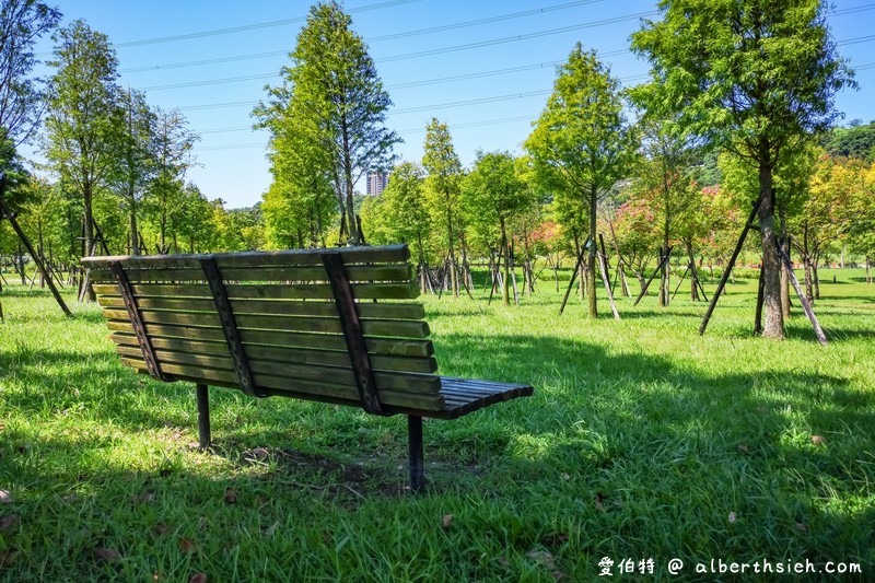 大溪河濱公園．桃園親子景點（腹地廣大的綠地公園以及共融式遊具兒童遊樂場） @愛伯特